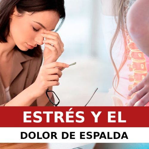 EL ESTRÉS Y EL DOLOR DE ESPALDA