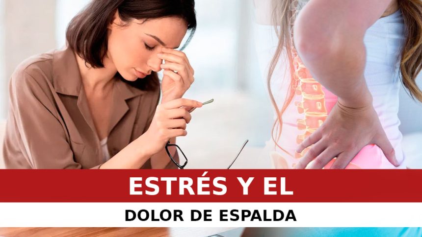 EL ESTRÉS Y EL DOLOR DE ESPALDA EL ESTRÉS Y EL DOLOR DE ESPALDA